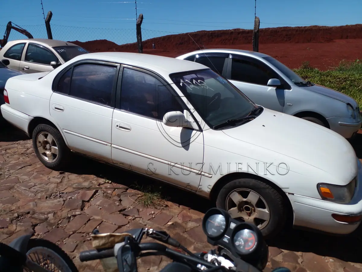 LOTE 0166