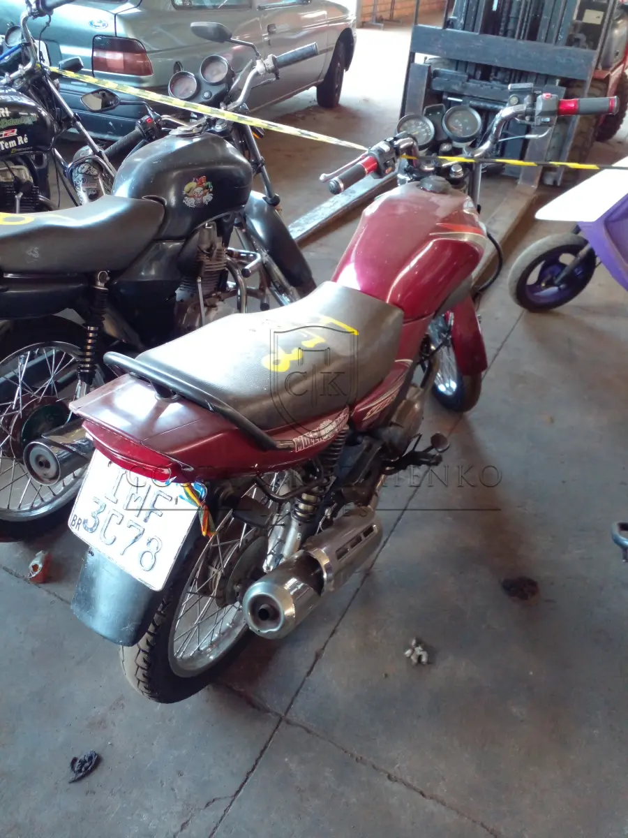 LOTE 0294