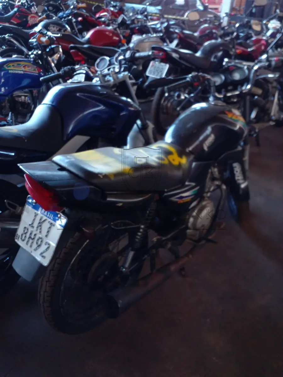 LOTE 0262