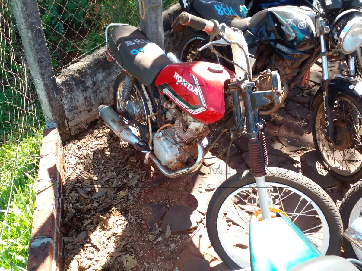 LOTE 0126