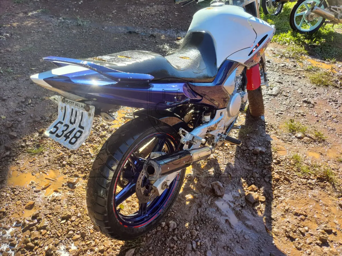 LOTE 0075