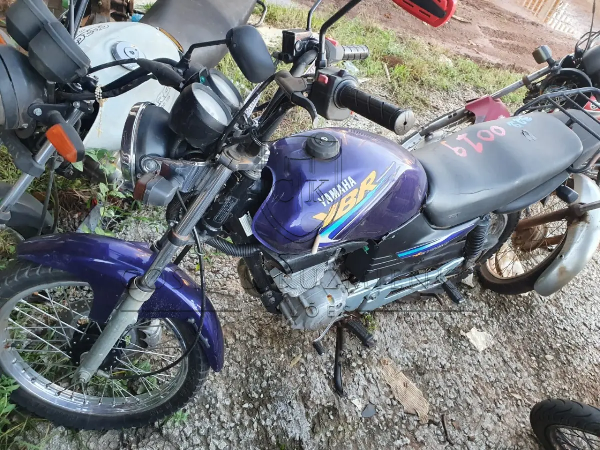 LOTE 0019