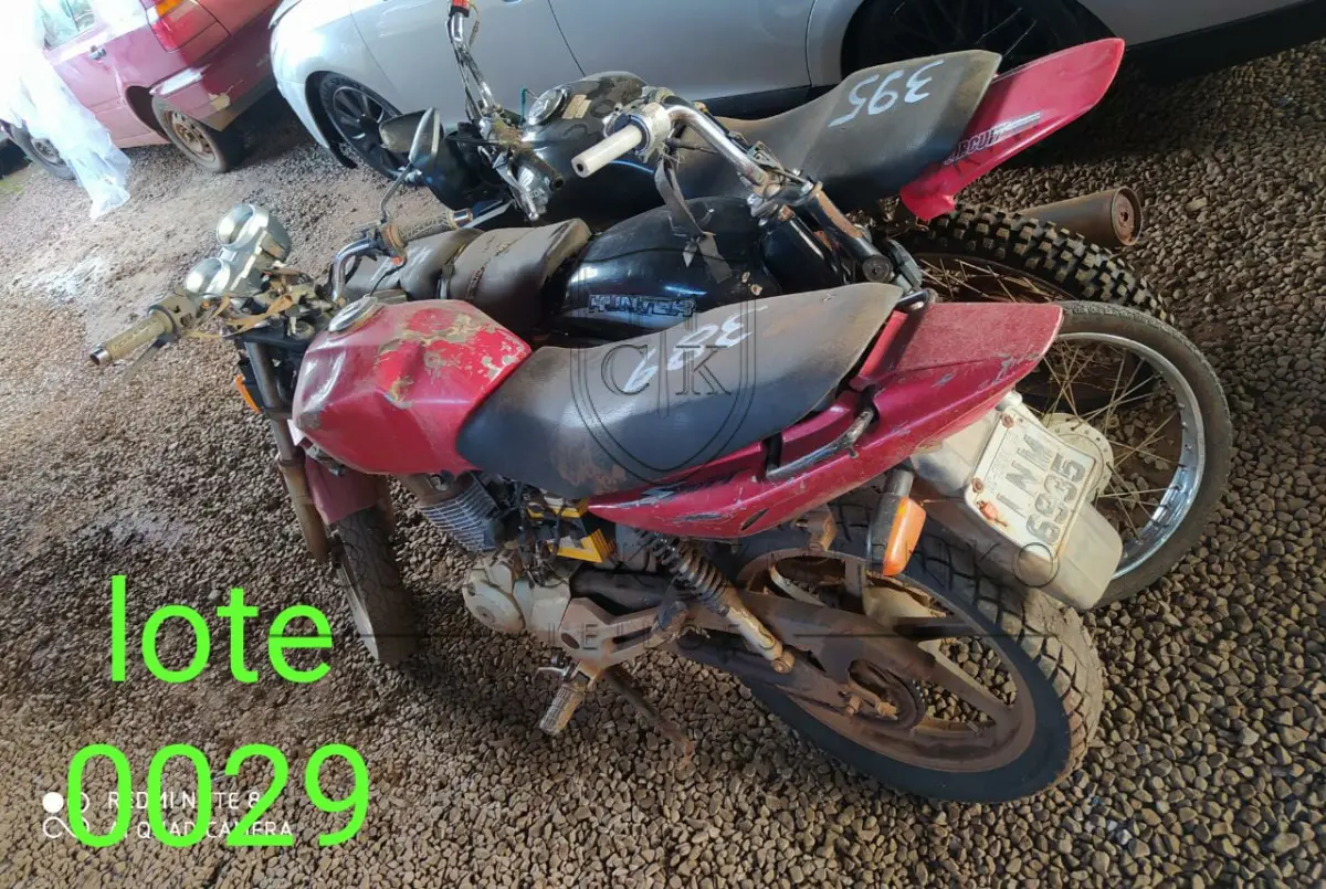 LOTE 0029