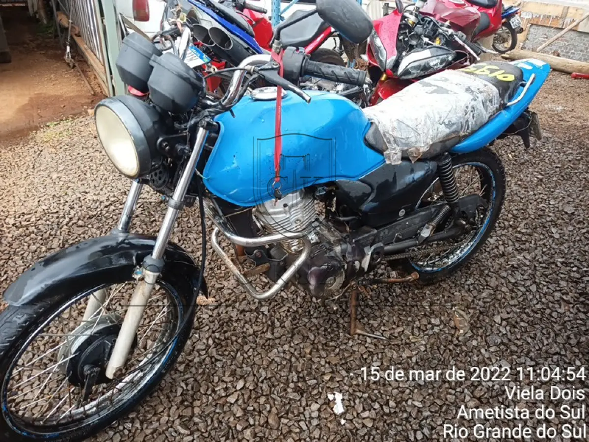LOTE 0195