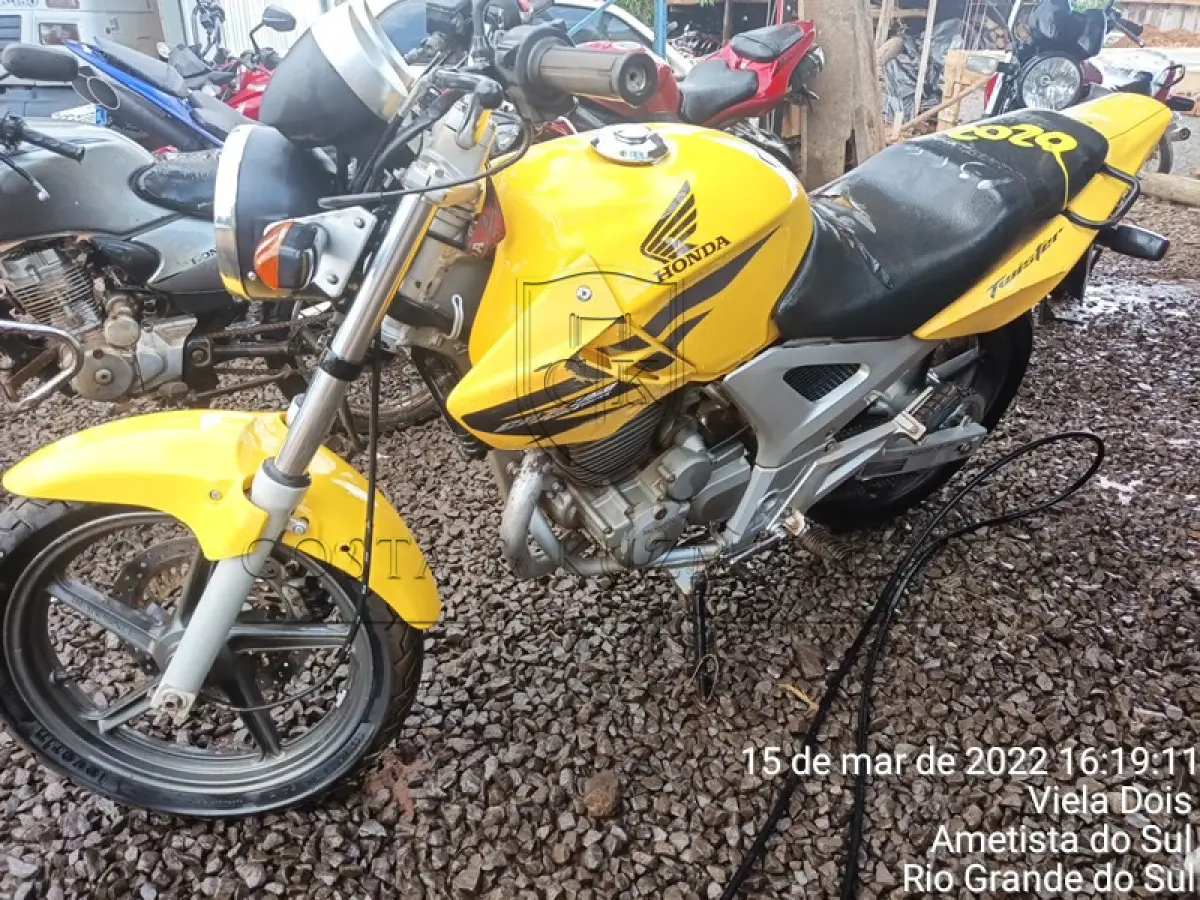 LOTE 0202