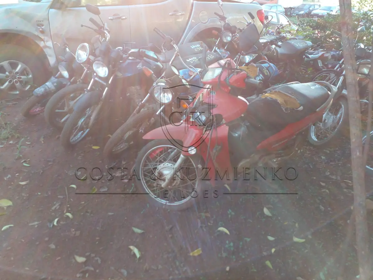 LOTE 0041