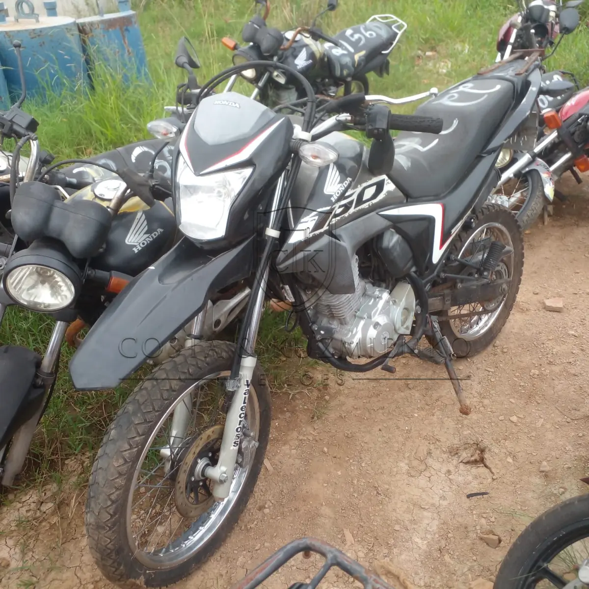 LOTE 0138