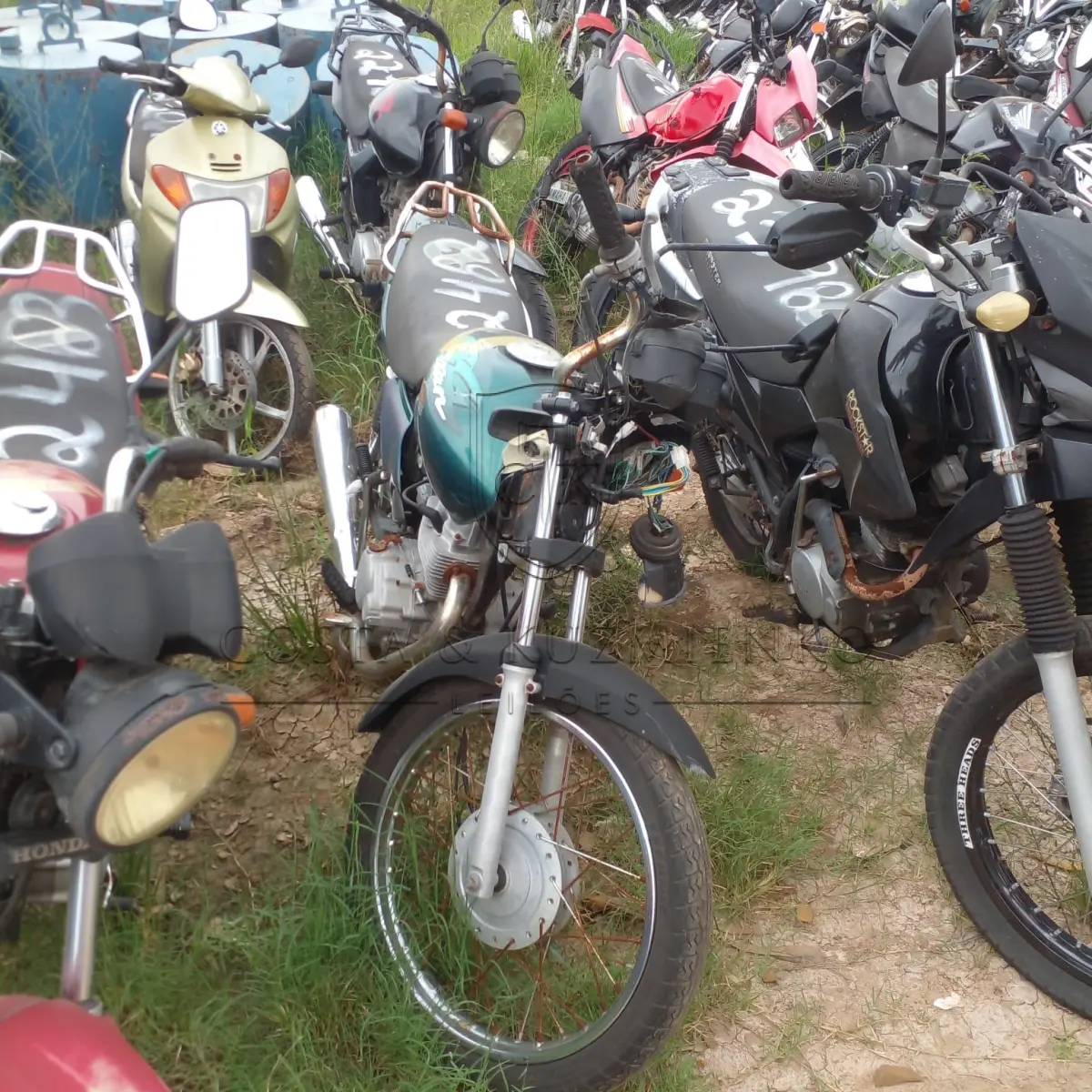 LOTE 0170