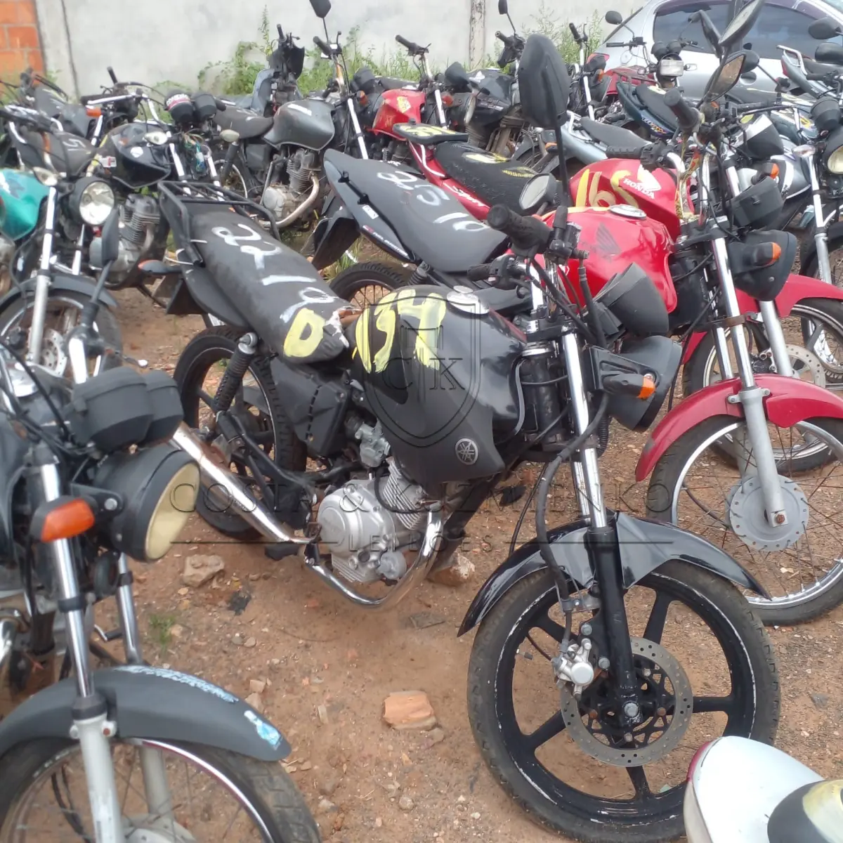 LOTE 0134