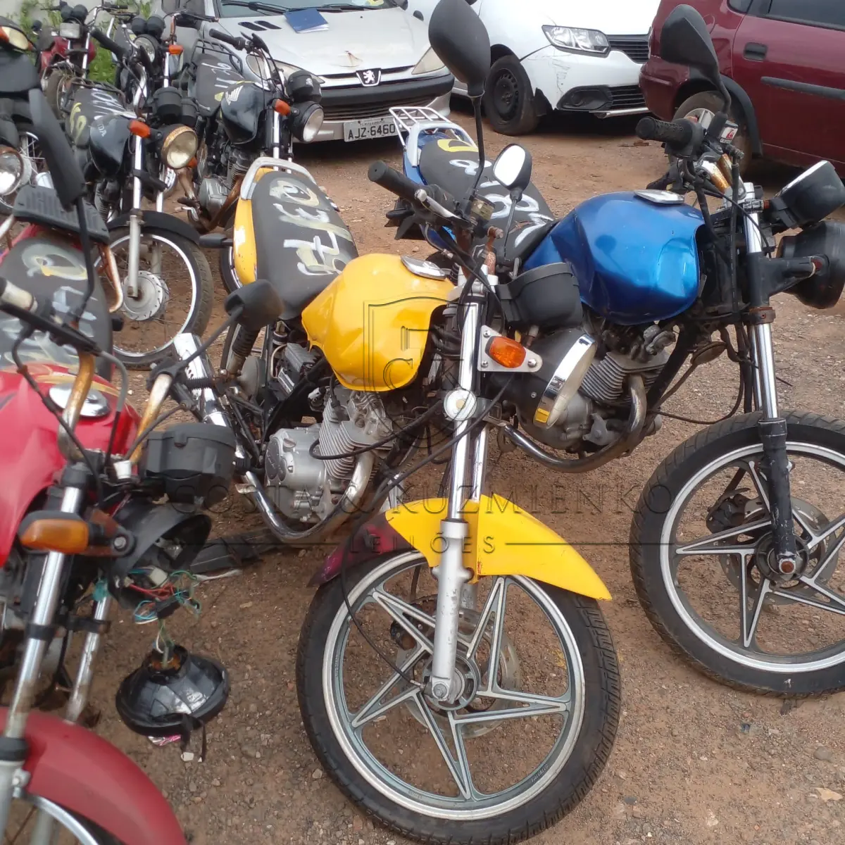 LOTE 0151