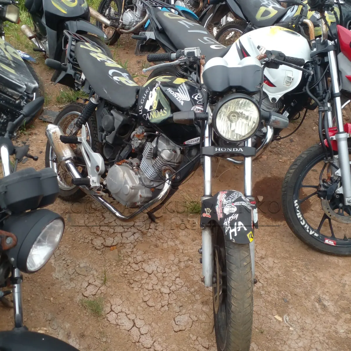 LOTE 0136