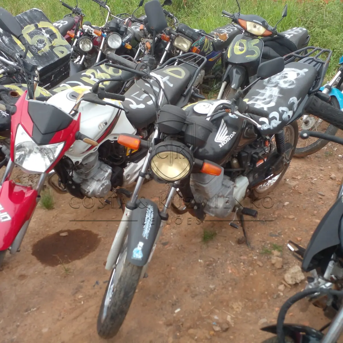 LOTE 0143