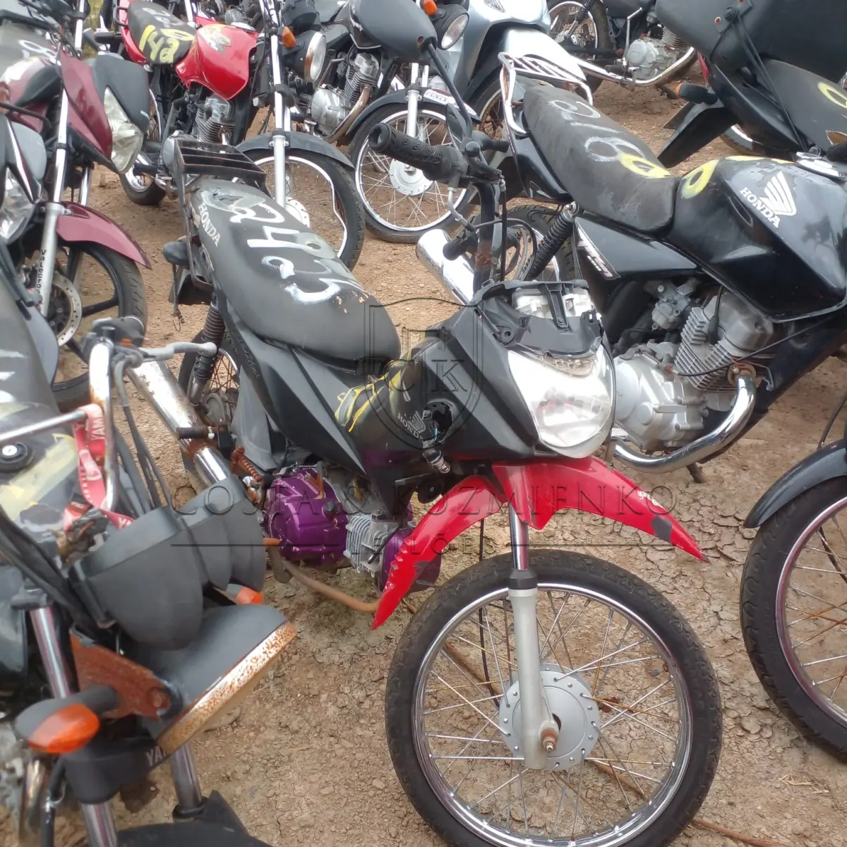 LOTE 0159