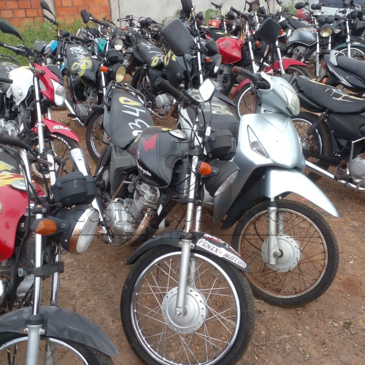 LOTE 0150
