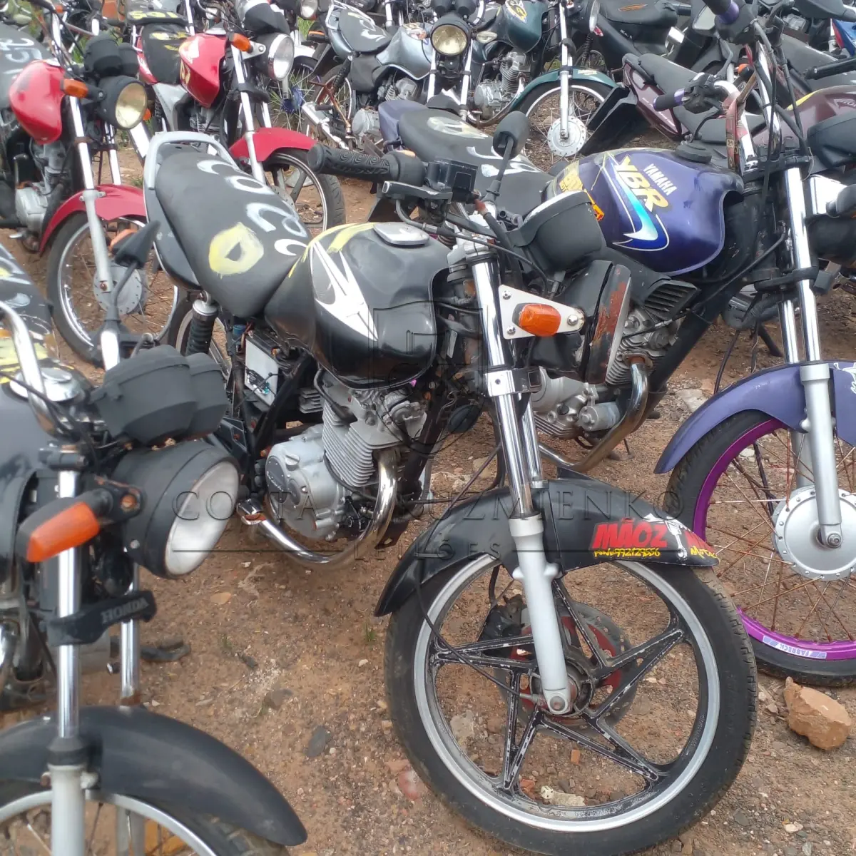 LOTE 0131