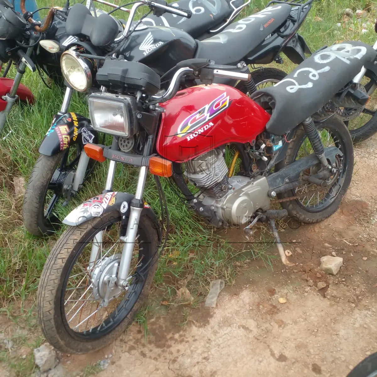 LOTE 0144