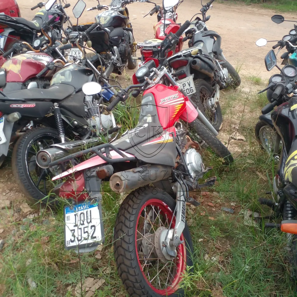 LOTE 0135