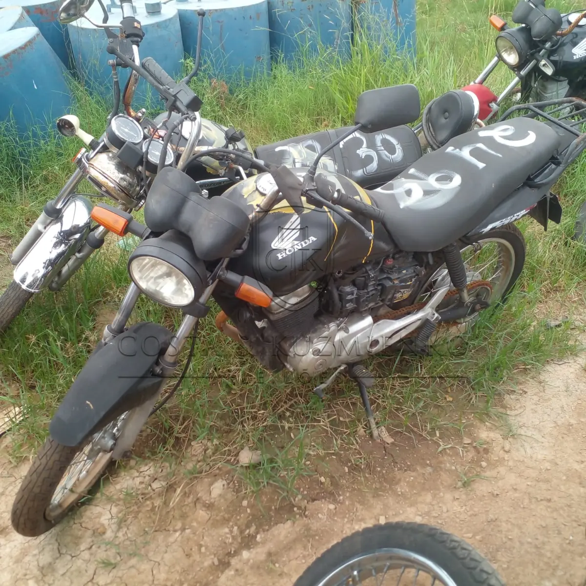 LOTE 0172