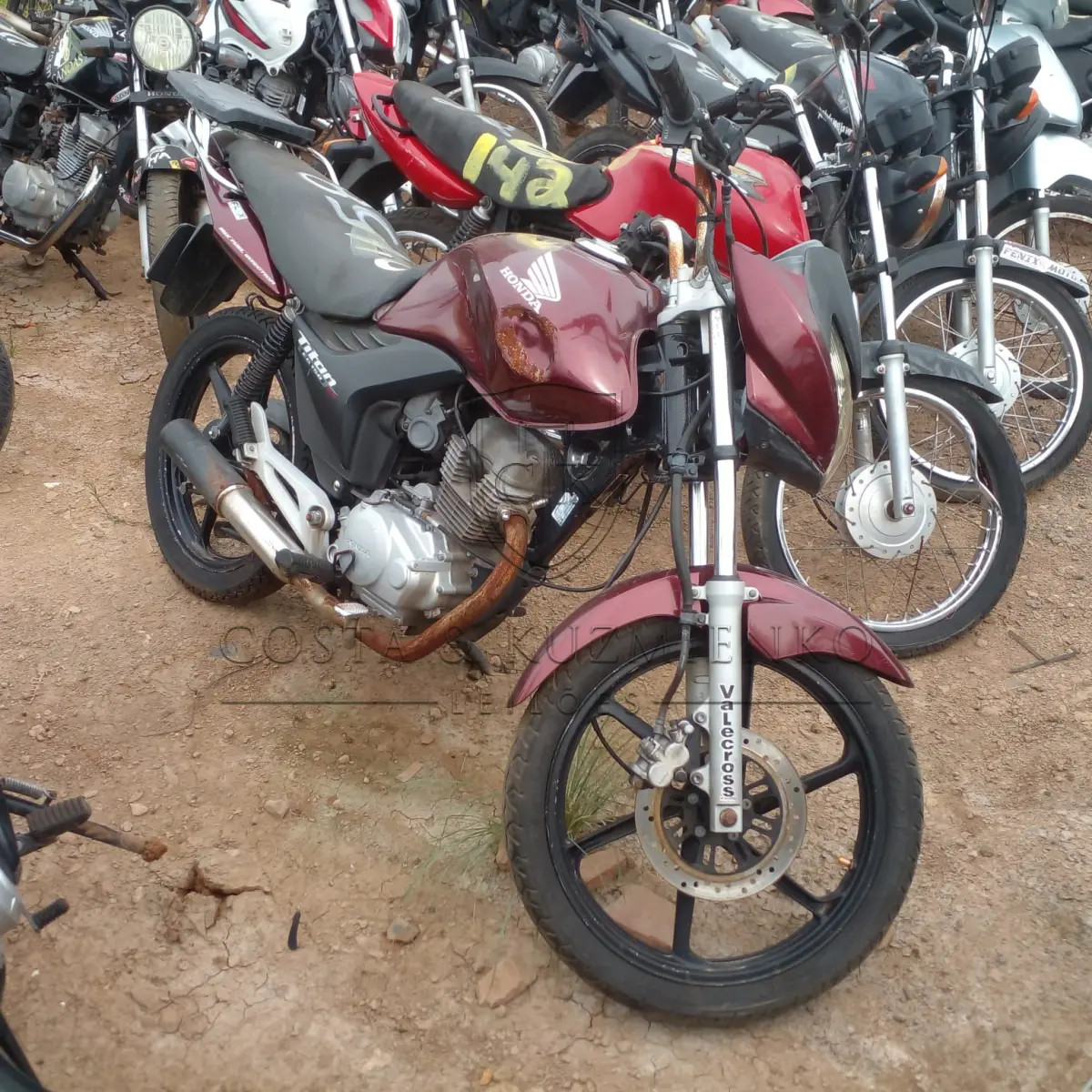 LOTE 0166