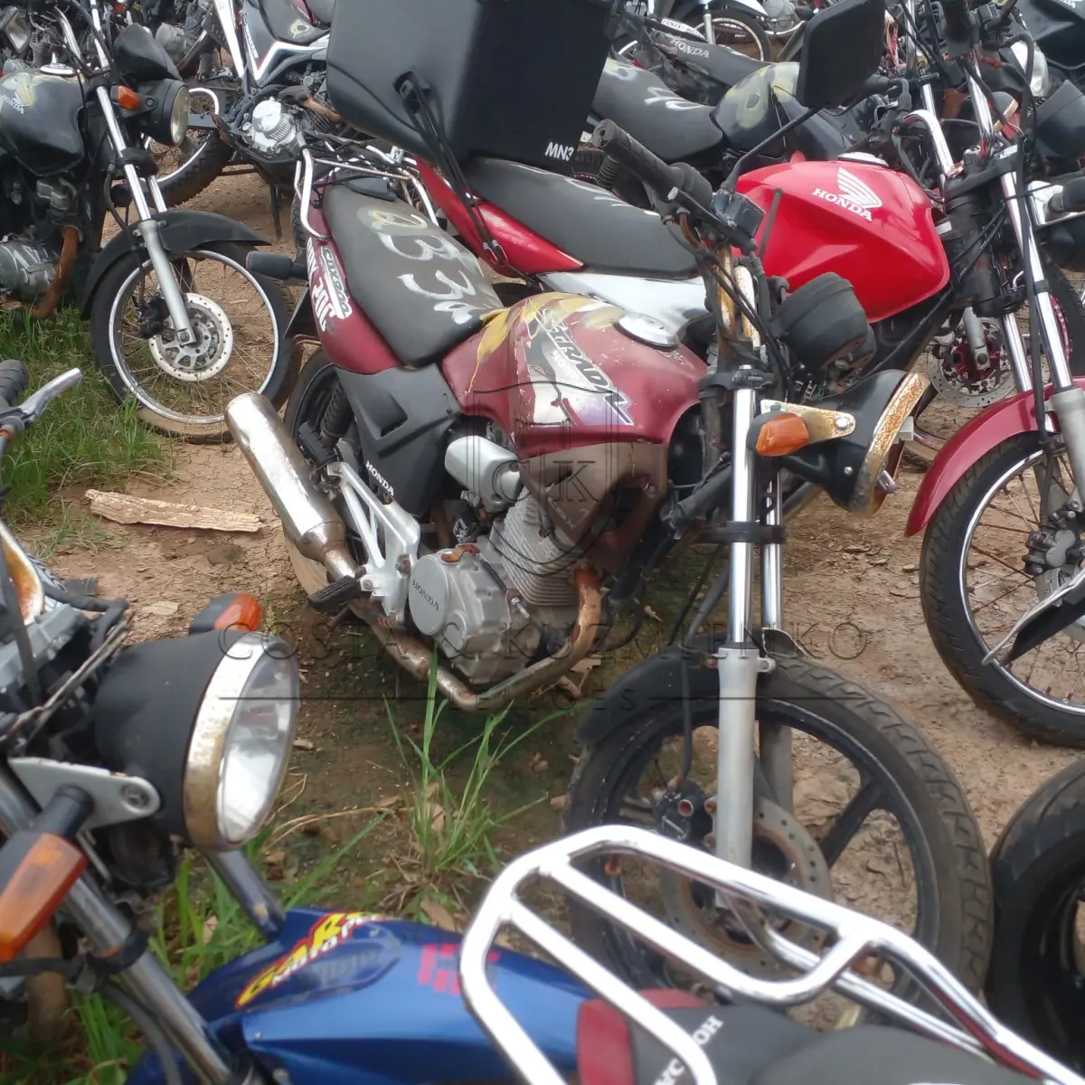 LOTE 0147