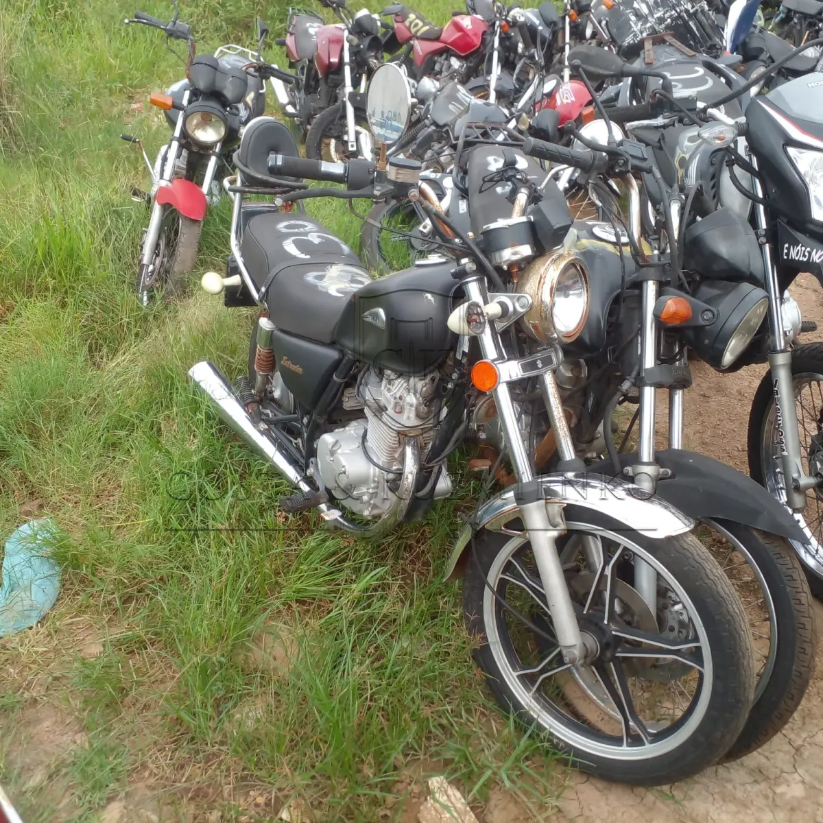 LOTE 0146