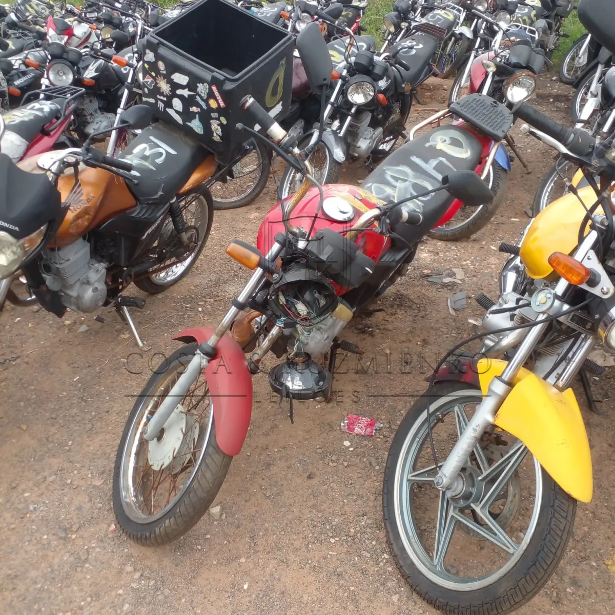 LOTE 0171