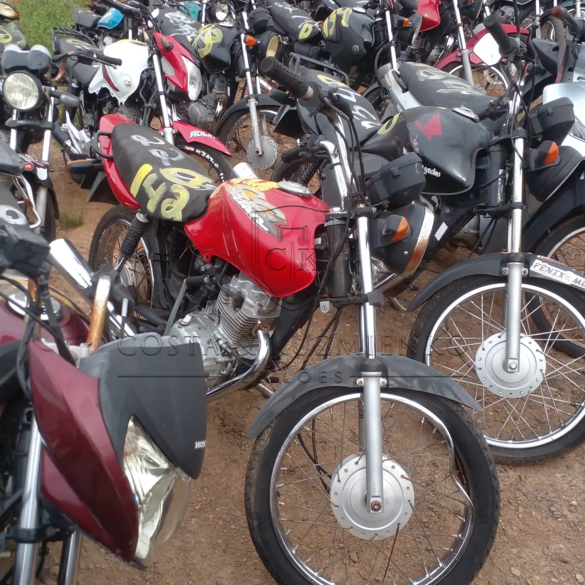LOTE 0142