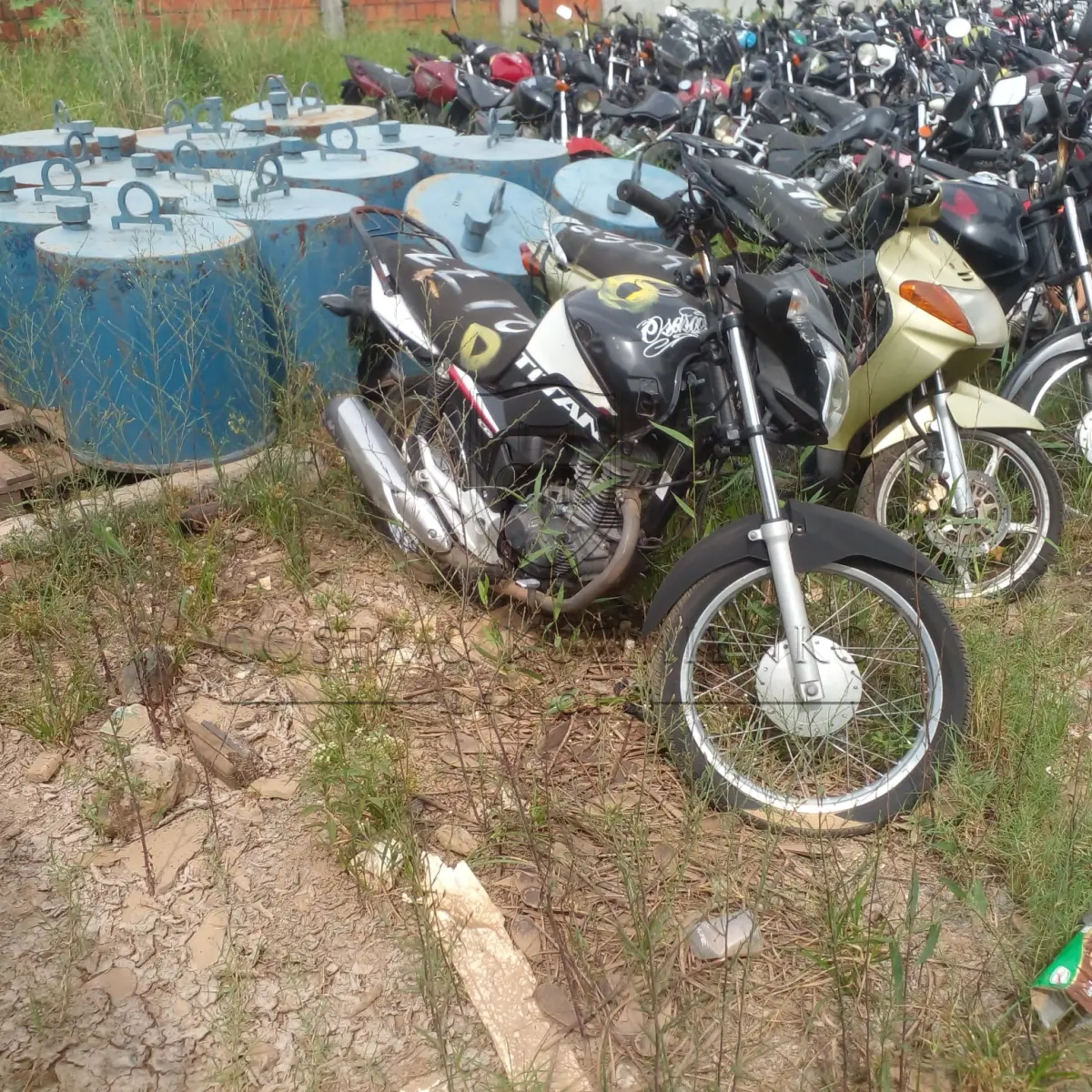LOTE 0126
