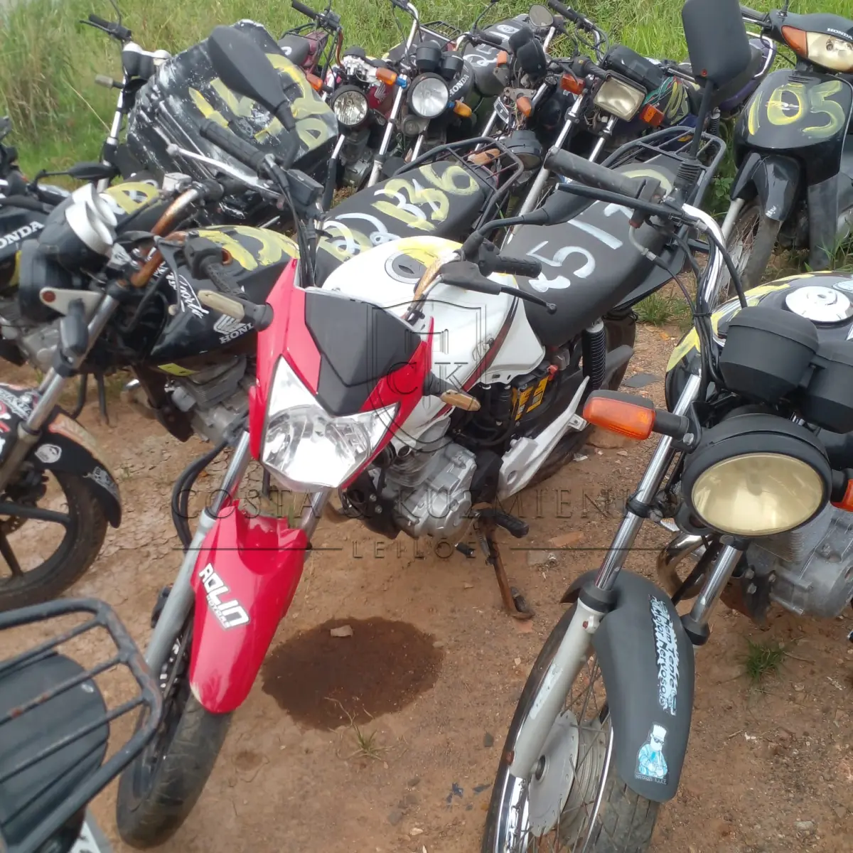 LOTE 0174
