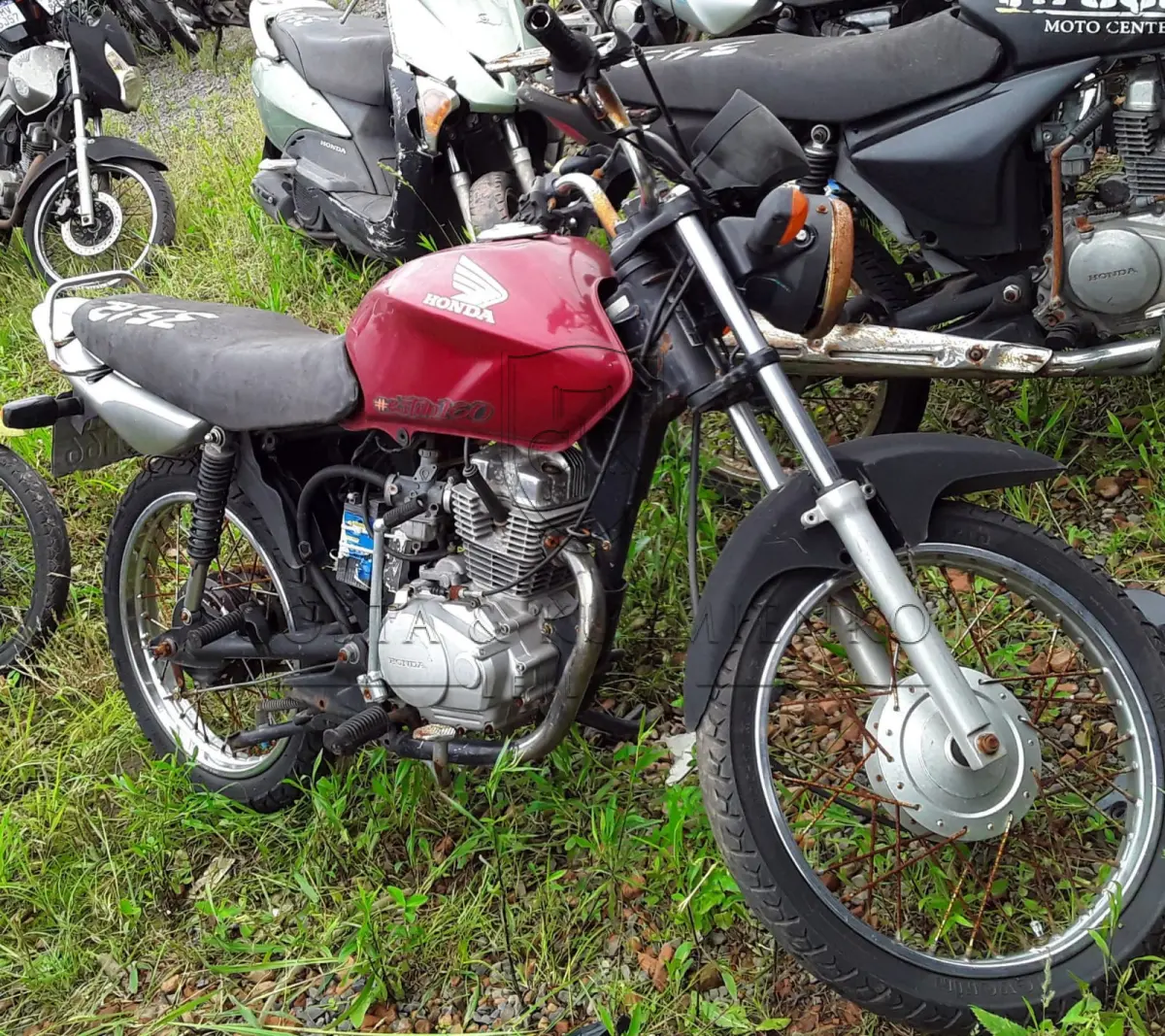 LOTE 0266