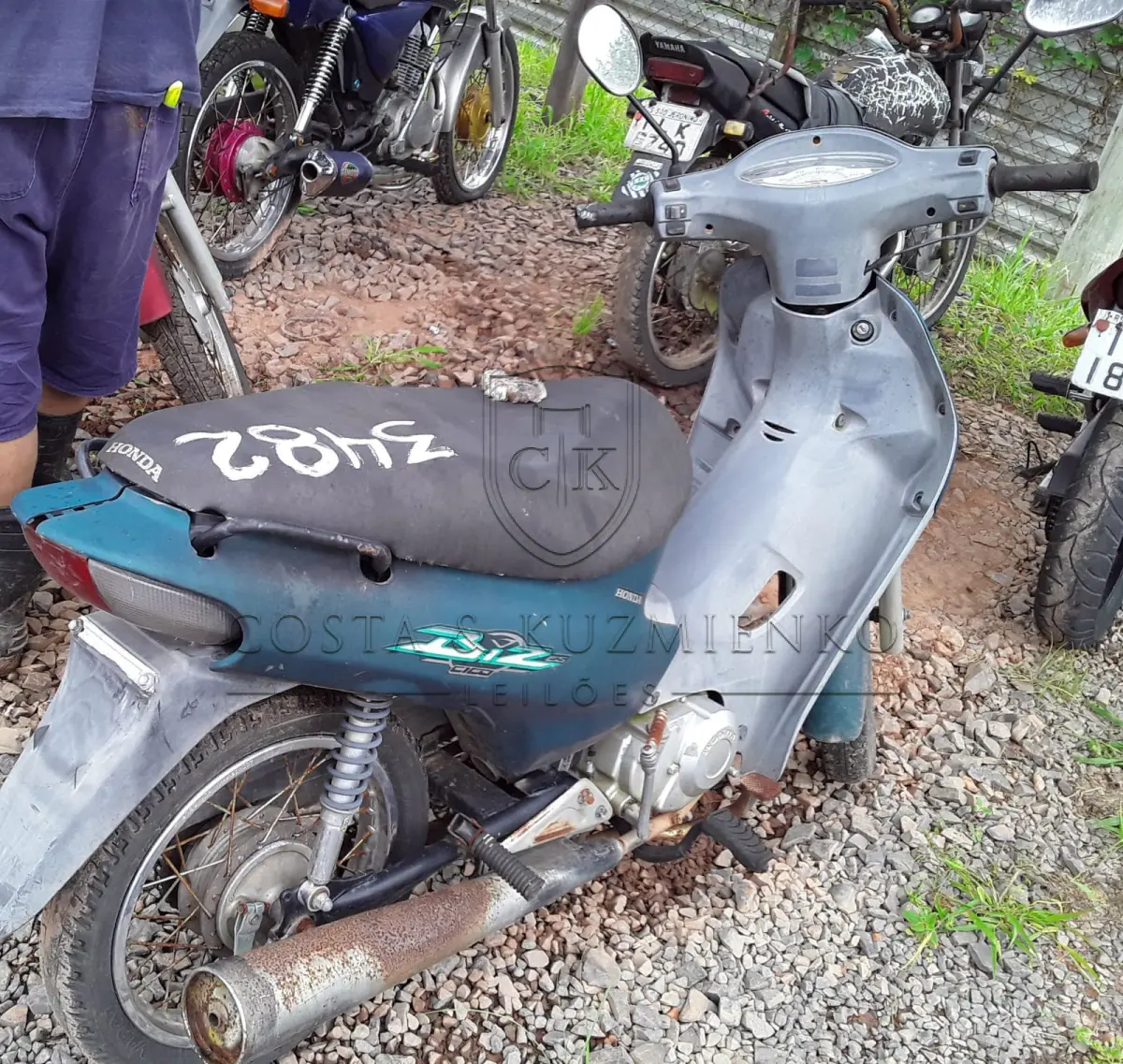 LOTE 0259