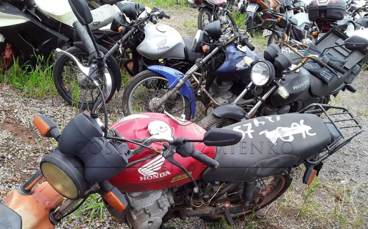 LOTE 0257