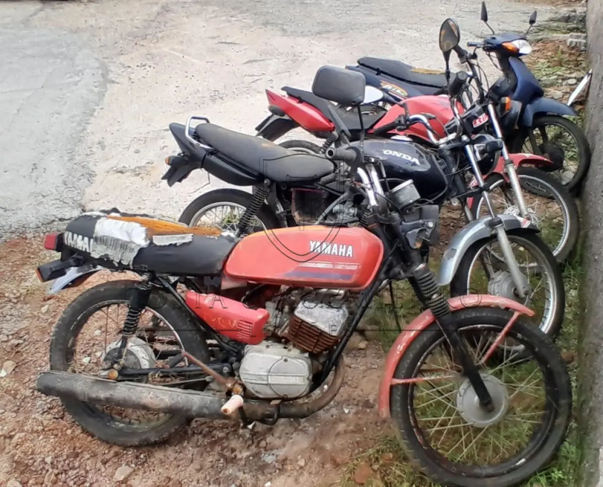 LOTE 0128