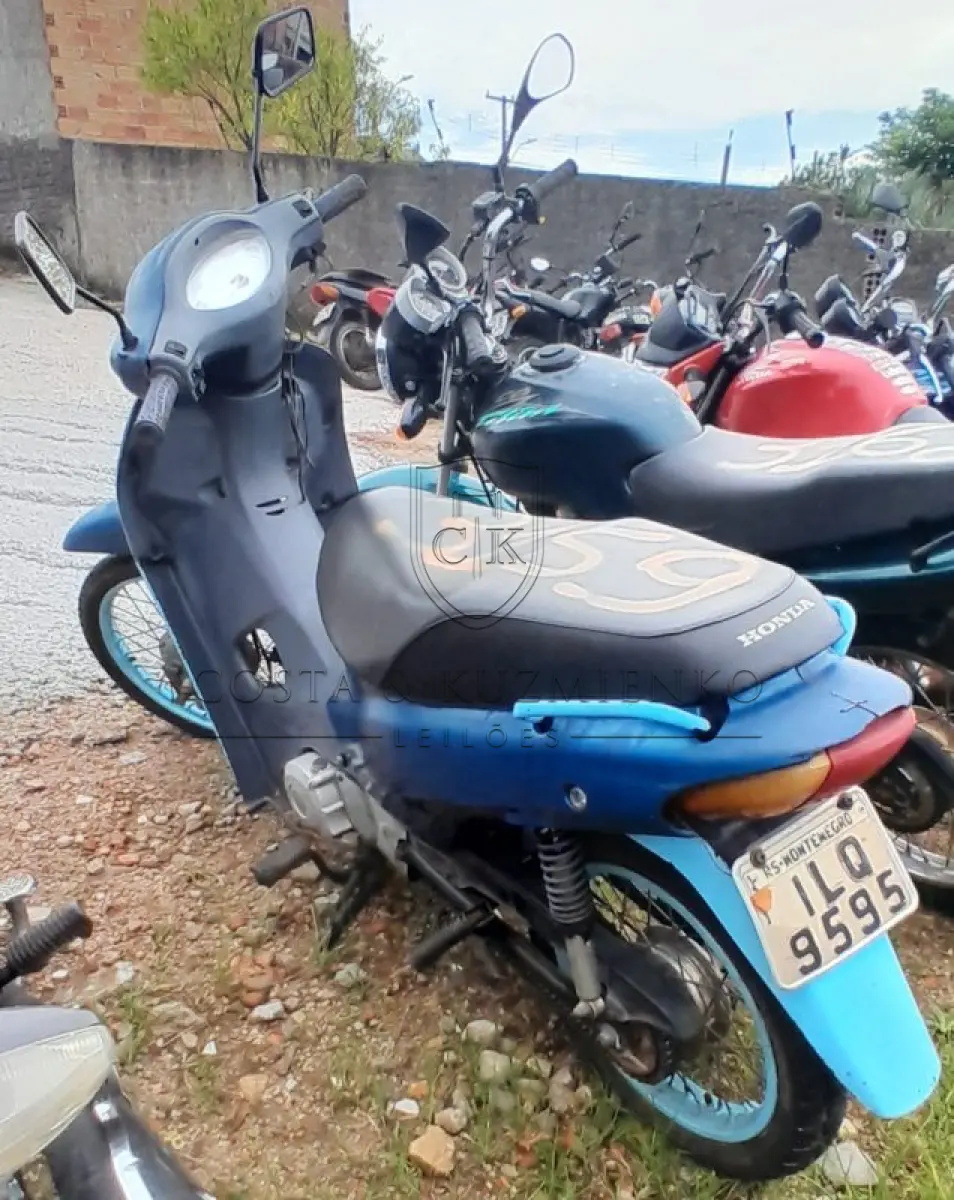LOTE 0137