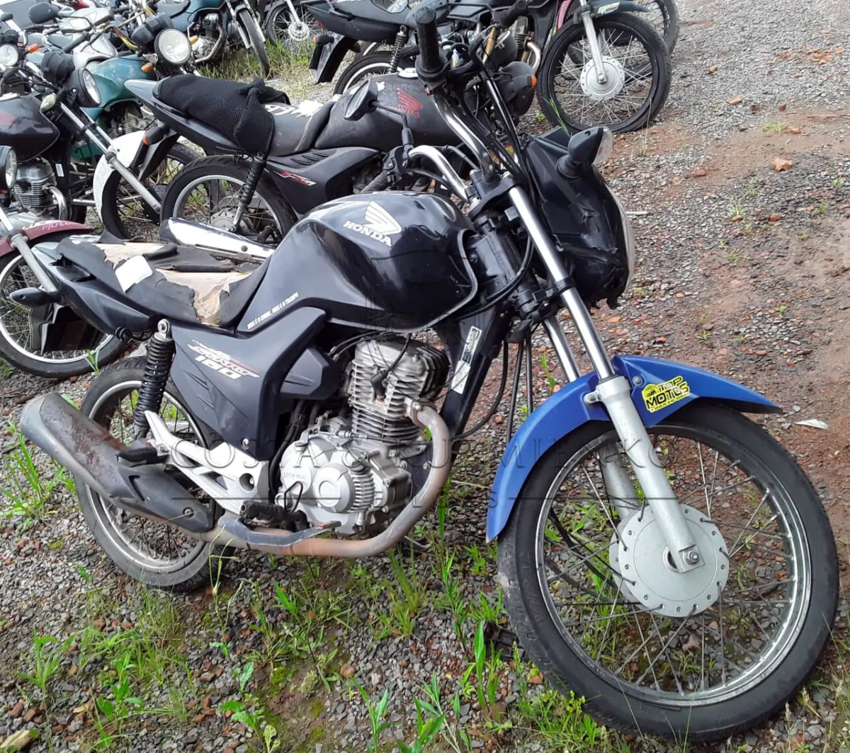 LOTE 0286