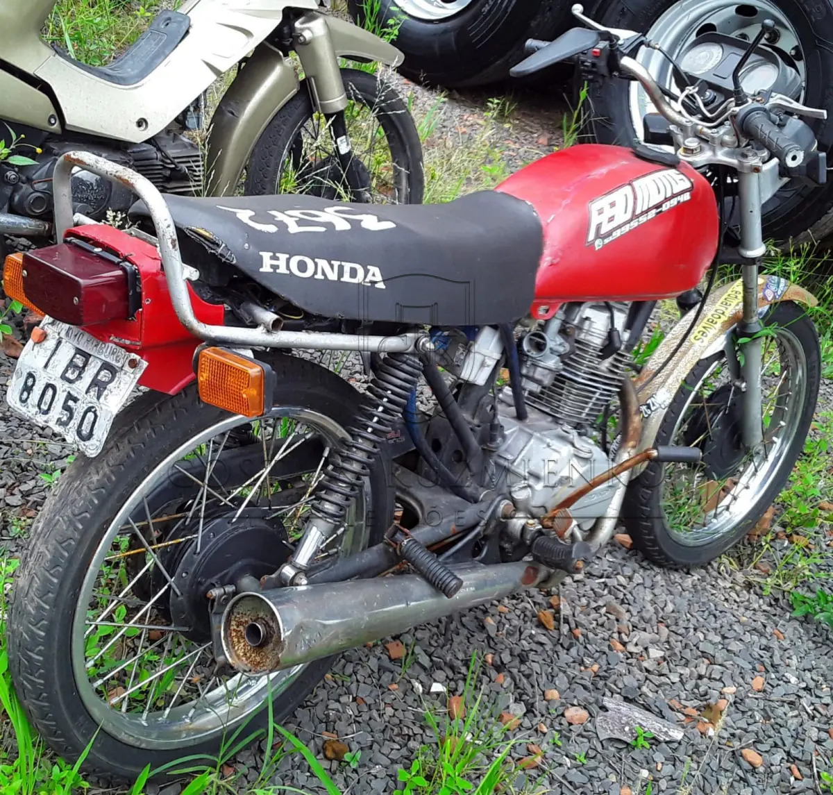 LOTE 0240