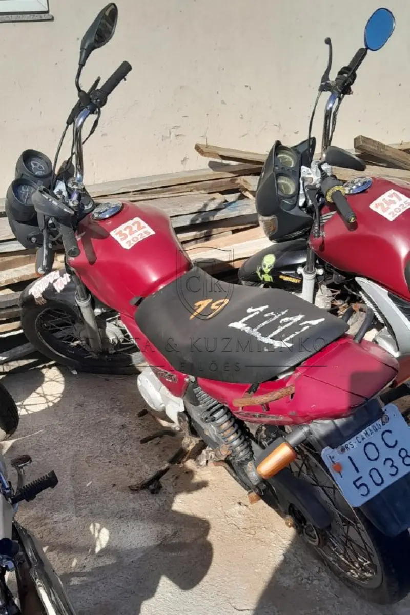 LOTE 0019