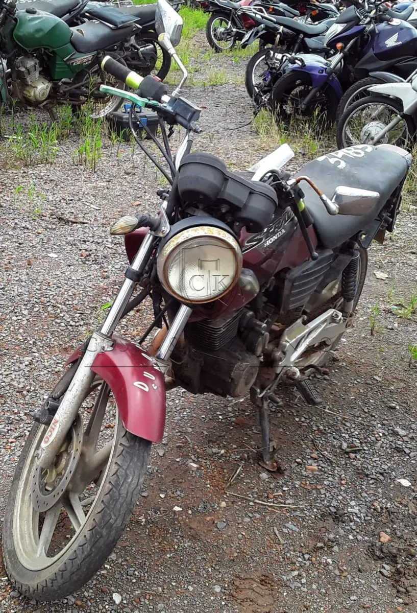 LOTE 0260