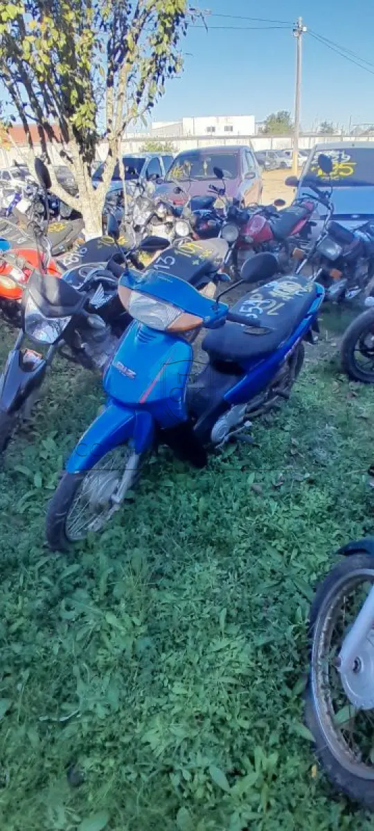 LOTE 0100
