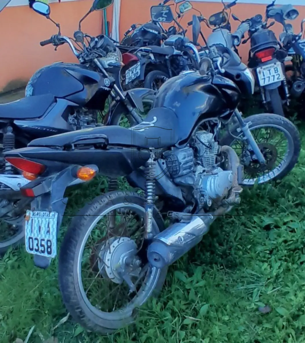 LOTE 0098