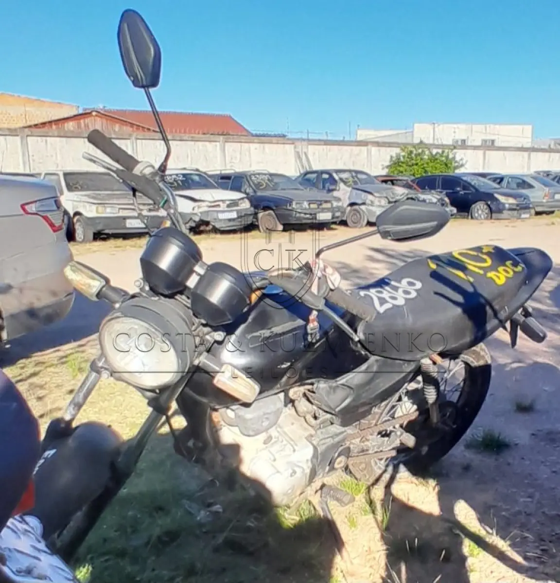 LOTE 0110
