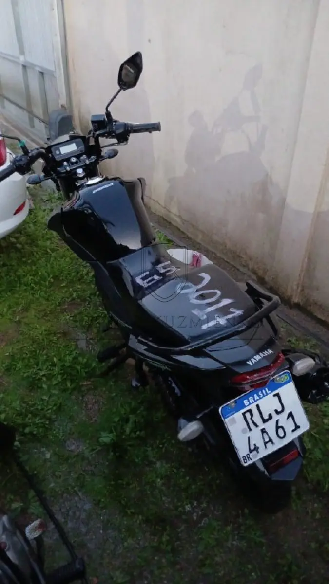 LOTE 0065