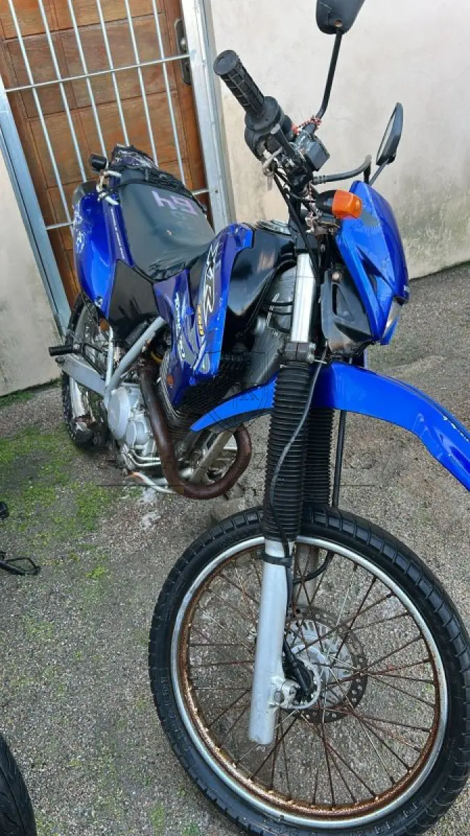 LOTE 0064