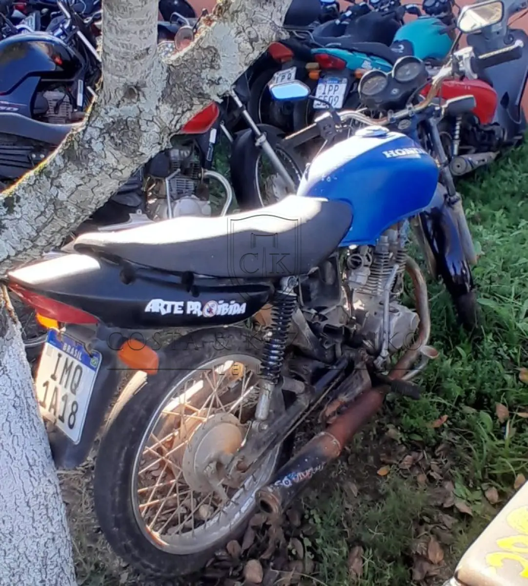 LOTE 0103