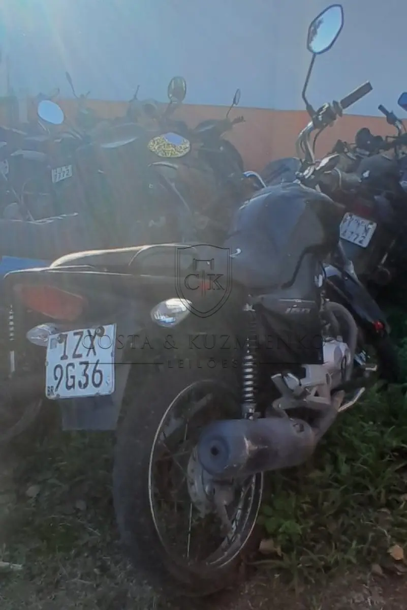 LOTE 0101