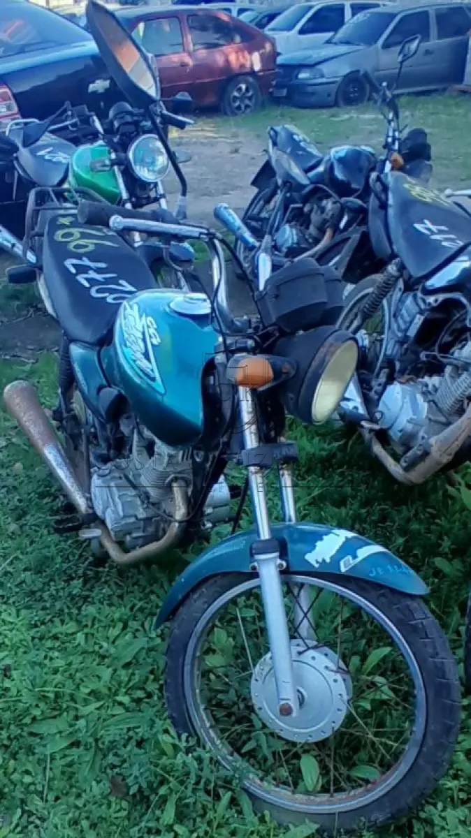 LOTE 0099