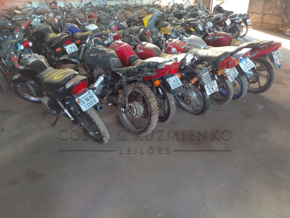 LOTE 0241