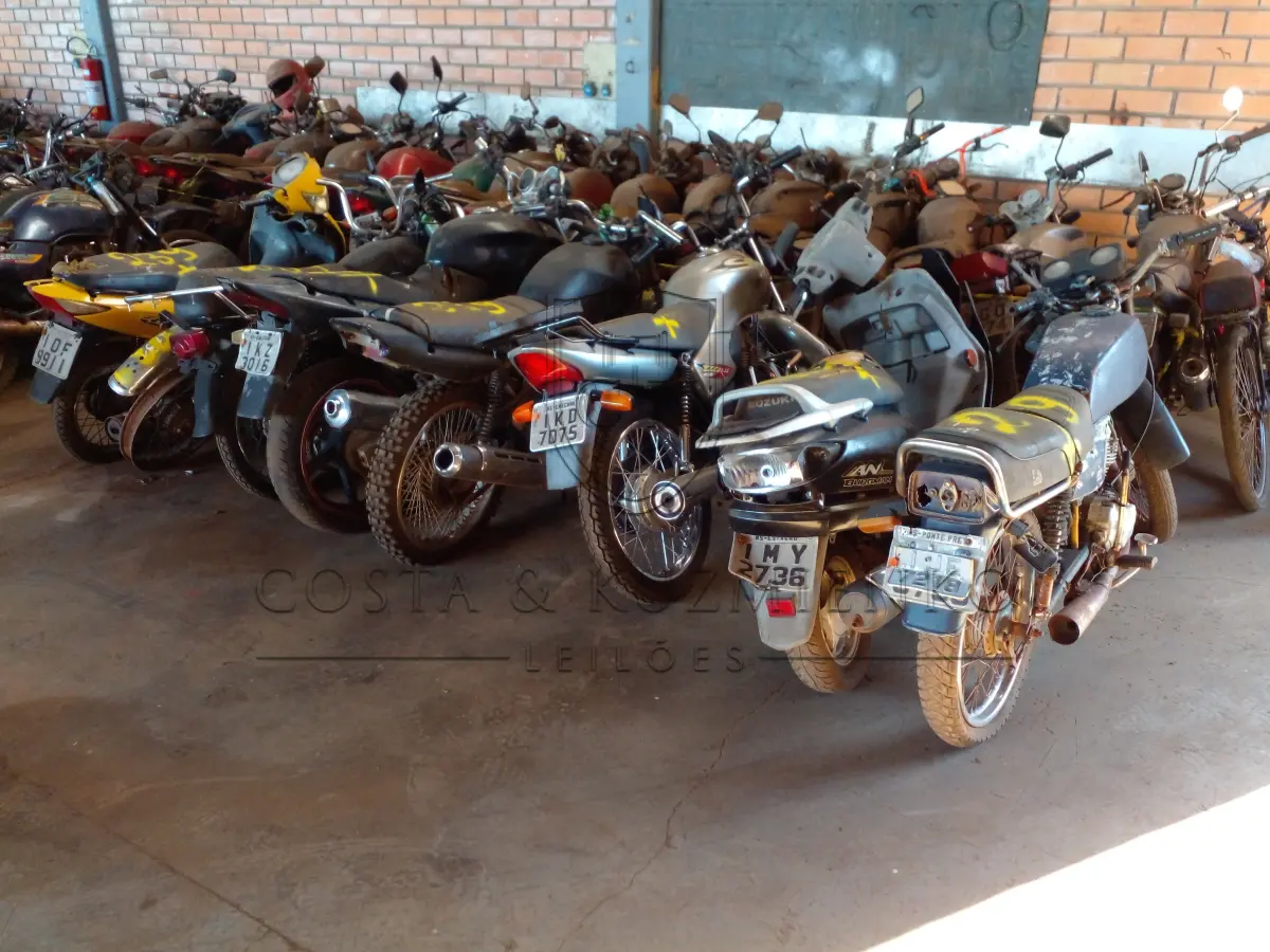 LOTE 0239