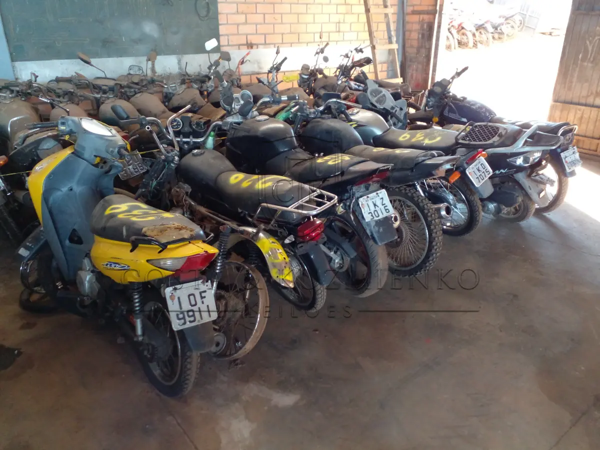 LOTE 0239