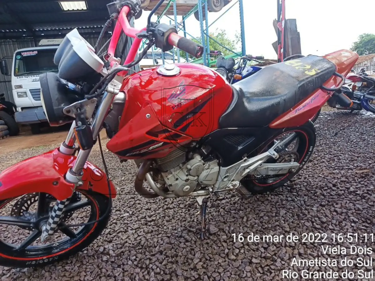 LOTE 0217